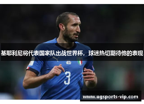 基耶利尼将代表国家队出战世界杯，球迷热切期待他的表现